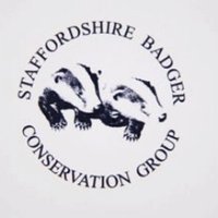 Staffs Badger Group (@staffsbadgers) 's Twitter Profile
