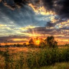 Just a Zonie photographer who wants to show off our beautiful AZ Sunsets! Submissions to my inbox if you want to be featured!