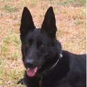 Dan Dare P.O.T.F. - @unameitdestin - Twitter