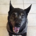 James Sapienza - @JamesSapienza - Twitter