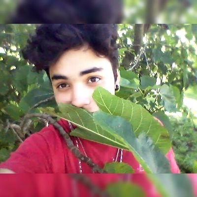 FabiiBeraza03's profile picture. YOUTUBER💕 love👇💣
CANAL DE VÍDEOS
 https://t.co/ANaSWPnL3k…
VE AH VER UN POCO 👆
▶SUSCRIBETE◀Y COMPARTE MIS VIDEOS MUCHAS GRACIAS!!