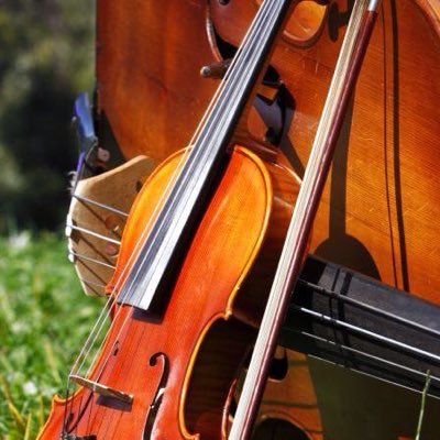 UK-based violin and cello duet by S Korean born sisters, tweets about issues relating to performance