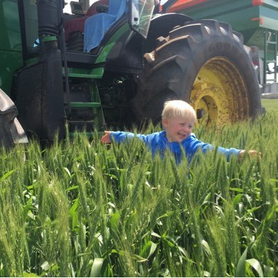 Loudounbrae's profile picture. Husband to 1 wife Jaymee and 3 kids. Family run farm using modern farming practices focussed on sustainable food production. CTF, Chaff, soil amelioration.