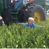 Loudounbrae's profile picture. Husband to 1 wife Jaymee and 3 kids. Family run farm using modern farming practices focussed on sustainable food production. CTF, Chaff, soil amelioration.