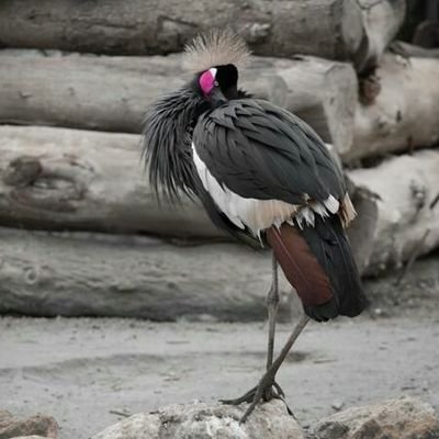 alkhtyb718's profile picture. 