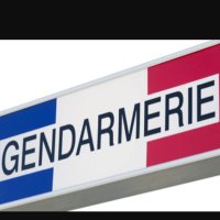 GendarmerieNationale (@gendarmerienat7) 's Twitter Profile