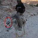 Barbara Monahan - @monahaba - Twitter