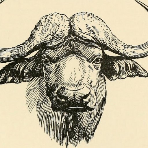 waterbuffalo42's profile picture. Everybody's got a water buffalo | Disloyal Order of | she/her