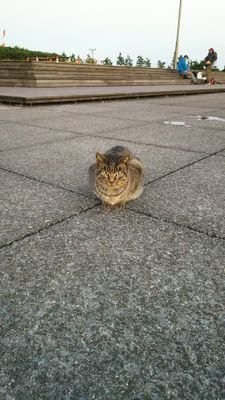 ubermensch0523's profile picture. 自分の考えが正解か間違いか知らないが、忖度せず率直に表現していく。政治経済が好きなのでそれ系が多いかも🦆人生は意味がないので自分で意味を作っていく。善悪も人間が作った勝手。おそらく、この世界はシミュレーションゲームの様な物。ゲームなので自由に好き勝手に生きていく。とりあえず、田舎に移住しセミリタイアを目指す🐈