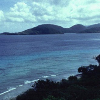 elephntt's profile picture. ggg