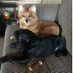 Debbie70458🇨🇦 (@debbiebiot) Twitter profile photo Debbie70458🇨🇦 (@debbiebiot) Twitter profile photo