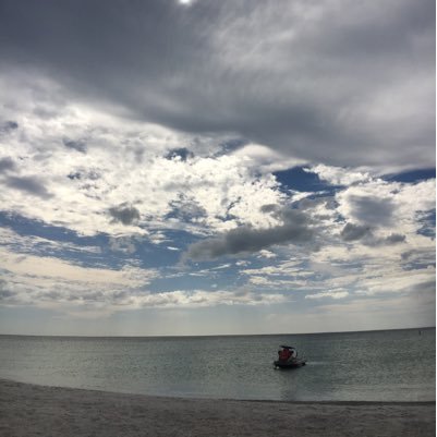 hfalzone's profile picture. 