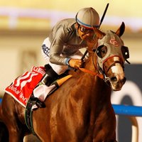 California Chromies (@calchrome) 's Twitter Profile Photo California Chromies (@calchrome) 's Twitter Profile Photo