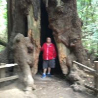 Debb Stevens (@debbstevens1) 's Twitter Profile Photo