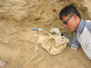 kghwang's profile picture. Paleontology, pterosaur, dinosaur, footprints, fossils, Science teacher, 고생물, 익룡, 공룡, 발자국, 과학교사, 한국공룡연구센터