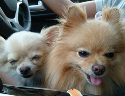 yukichiichan's profile picture. 