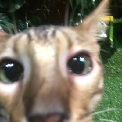 アマノ