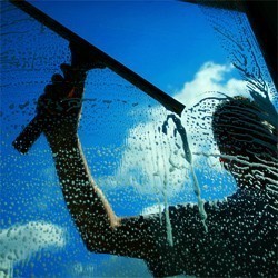 casperswndowwsh's profile picture. 