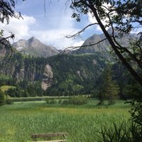 Ben Hall (@hallbenjamin) 's Twitter Profile