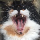 Mark Webb - @webbified - Twitter