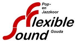 Flexible Sound