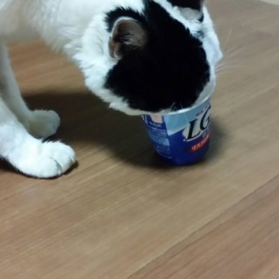 lastnote1's profile picture. 