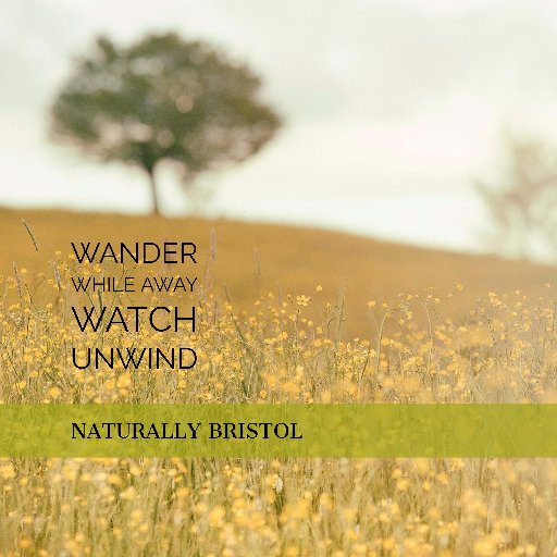 🌳Looking for 🌾green spaces to wander,🌱watch the world go by,🍃while away the time, 🌿& boost your wellbeing in Bristol, Bath & Beyond! 🍂Tweets by @Pom_pom10