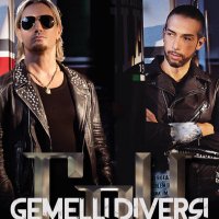 Gemelli DiVersi (@gemellidiversi_) 's Twitter Profile