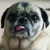 S. M. B. (@smarinab1013) 's Twitter Profile