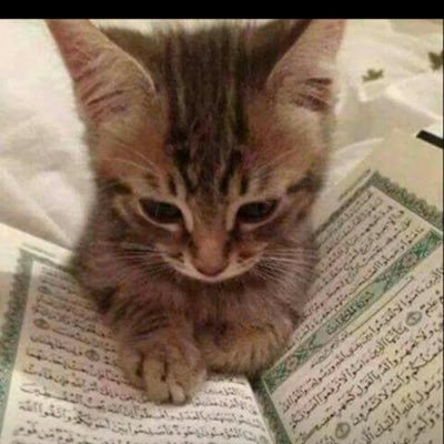 yasmine_thomus's profile picture. snap yasmine-1803 , peri yasminethomus , FB yasmine thomus #marocaine #belges