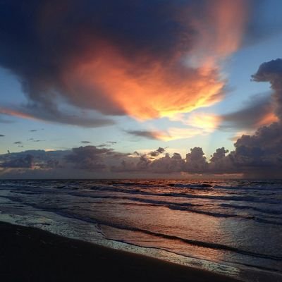 sherryirene's profile picture. 