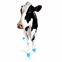 KlingonBlue™ Foot Baths & Topical Hoof Gel (@klingonblue) 's Twitter Profile