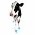 KlingonBlue™ Foot Baths & Topical Hoof Gel (@klingonblue) Twitter profile photo KlingonBlue™ Foot Baths & Topical Hoof Gel (@klingonblue) Twitter profile photo