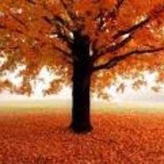 danmcco's profile picture. Retired investor -- trying to stay retired.  Currently back on the Blue Jay bandwagon.