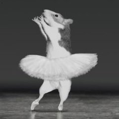 cristina_bees's profile picture. Witches deal with things. Open your eyes, and then open your eyes again.