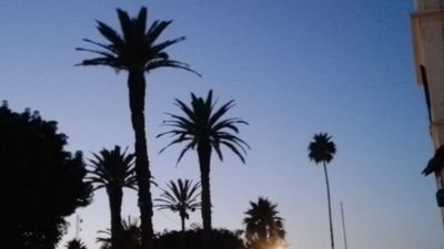 mc_boro's profile picture. 