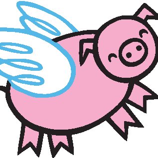 Flying Pig Promotions- A boutique promotional marketing firm where style & function meet creativity for all your promotional endeavors.