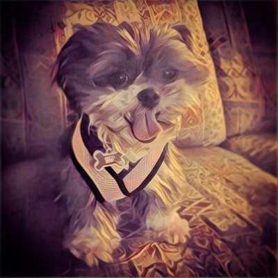 myhighzen's profile picture. trying to keep the zen anyway possible. currently not succeeding.