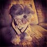 myhighzen's profile picture. trying to keep the zen anyway possible. currently not succeeding.