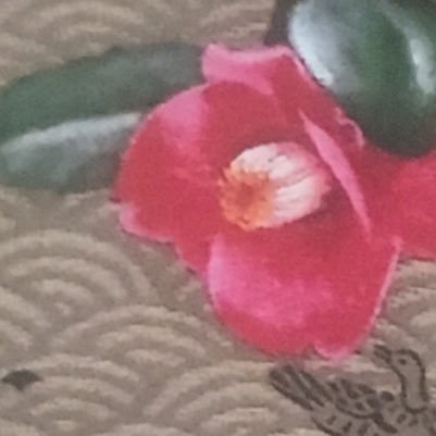 伊勢崎節子 Profile