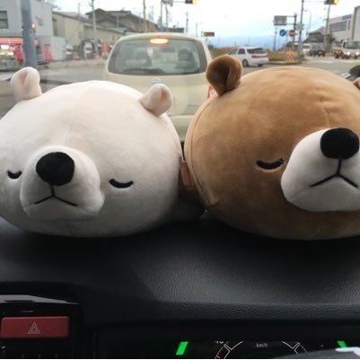 6prKQD5ti1qmHG7's profile picture. 