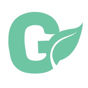 Image result for Guavafit