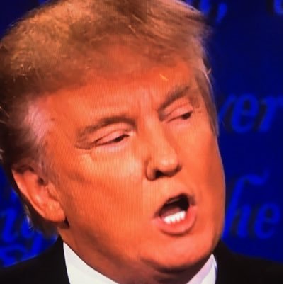 IsAmericaGr8Yet's profile picture. Just your daily update to let you know if America is Great Again Yet.