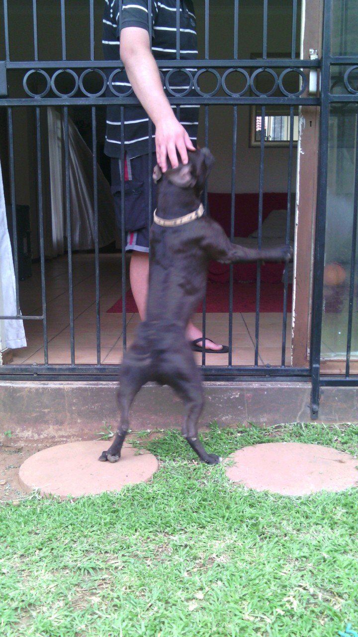 djkranksa's profile picture. 