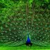 Manoj Kumar (@sureshkumar652) Twitter profile photo Manoj Kumar (@sureshkumar652) Twitter profile photo