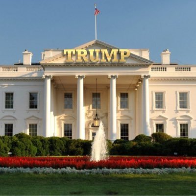 al_z14's profile picture. US educated liberal malay...