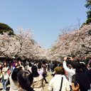 かゆ (@0819Yuka) Twitter