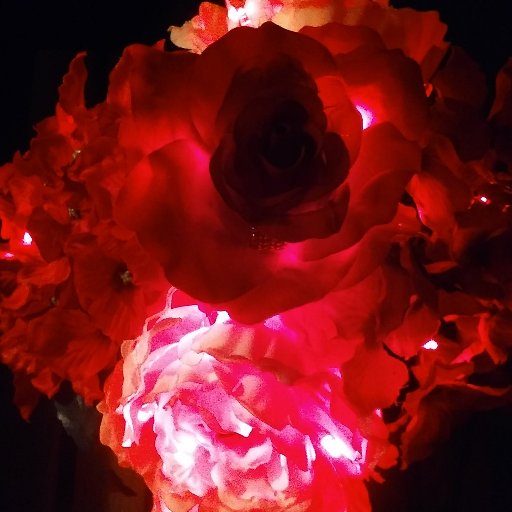 bossyflowers26's profile picture. 