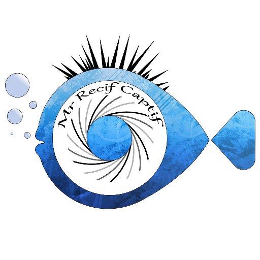 Vidéaste Youtube parlant d'aquariophilie récifale