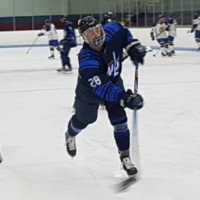 Westfield State Owls #28